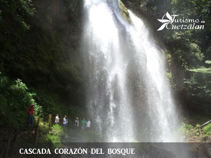 Cascada corazón del bosque