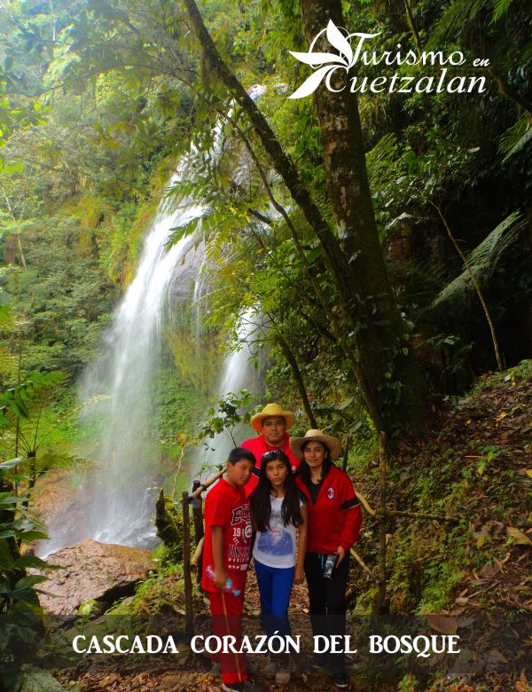 Cascada corazón del bosque