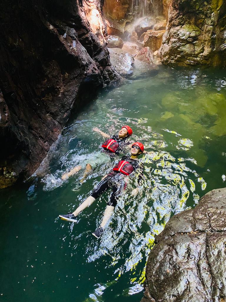 Paquete 1 - Pata de Perro
