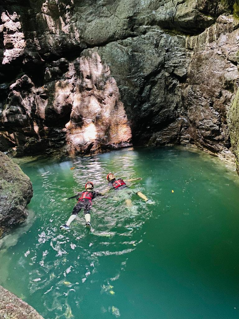 Paquete 1 - Pata de Perro