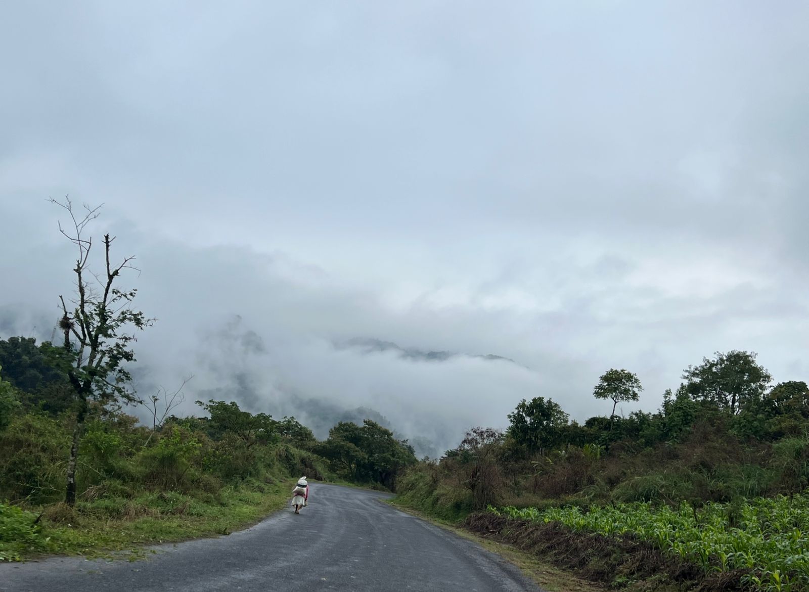 Clima en Cuetzalan: guía completa por temporadas para planear tu viaje