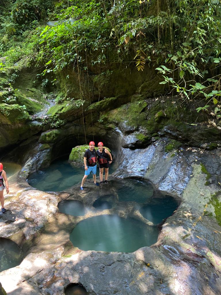 Paquete 1 - Pata de Perro