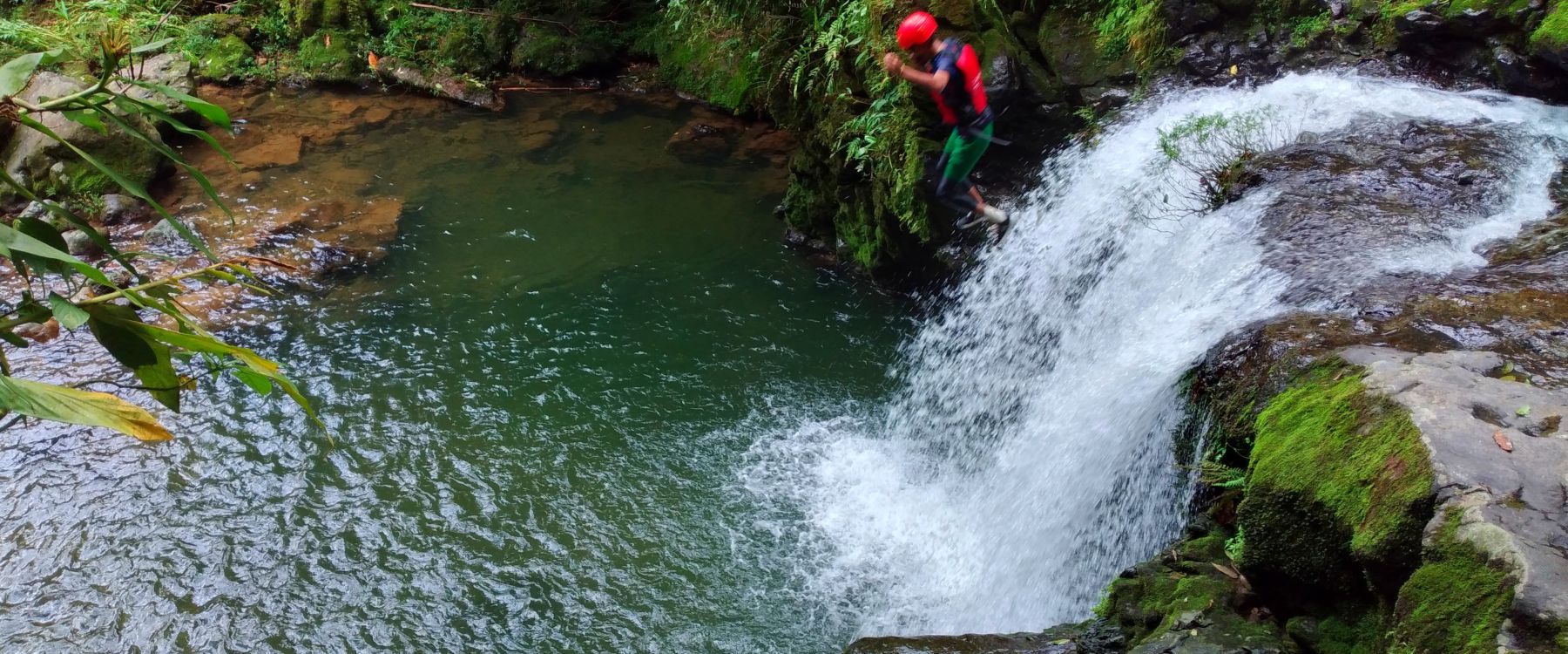 Paquete 8 - Las golondrinas