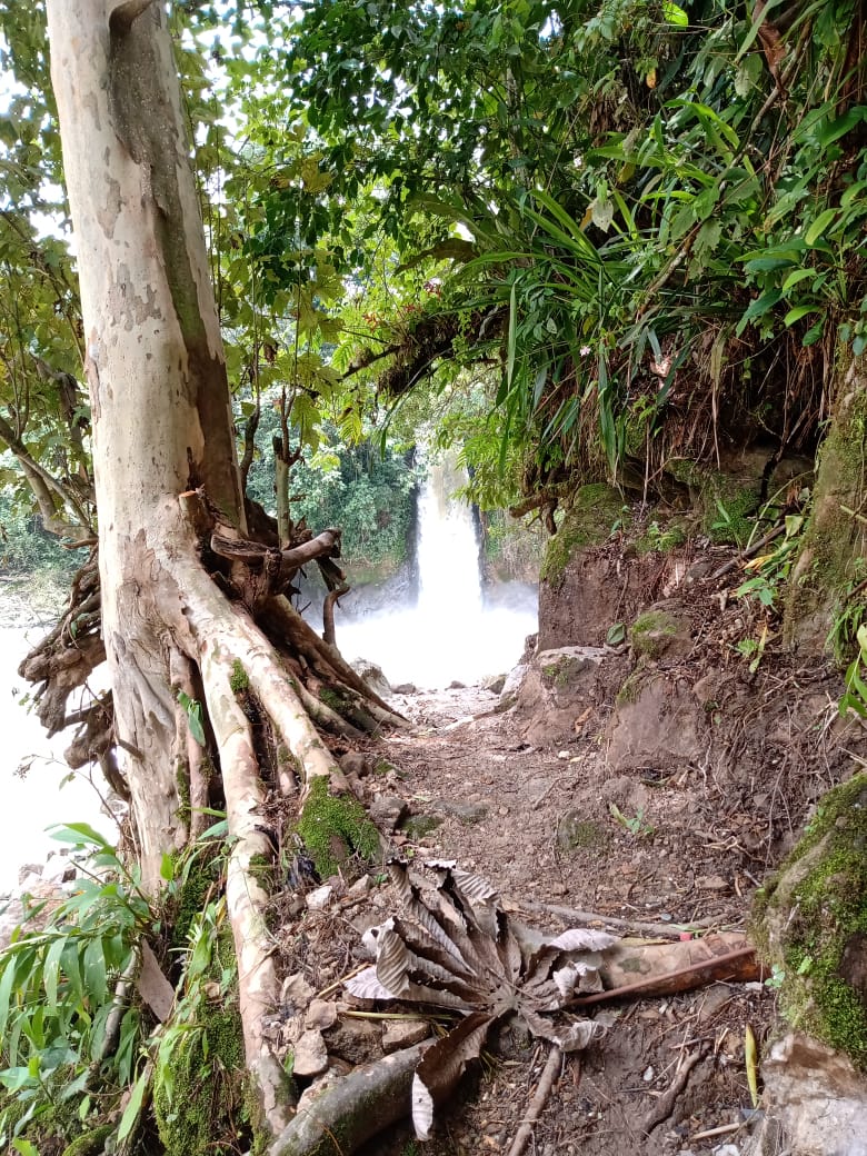 Paquete 7 - Tlatlauquitepec